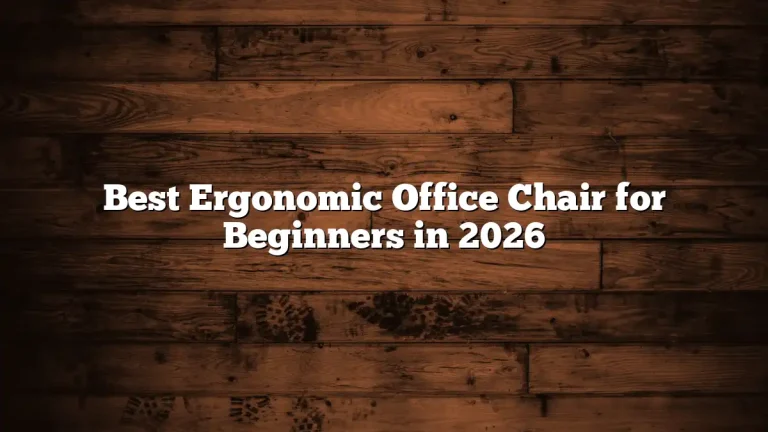 Best Ergonomic Office Chair for Beginners in 2026