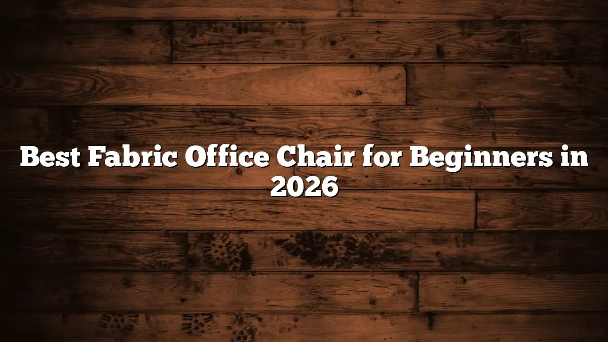Best Fabric Office Chair for Beginners in 2026