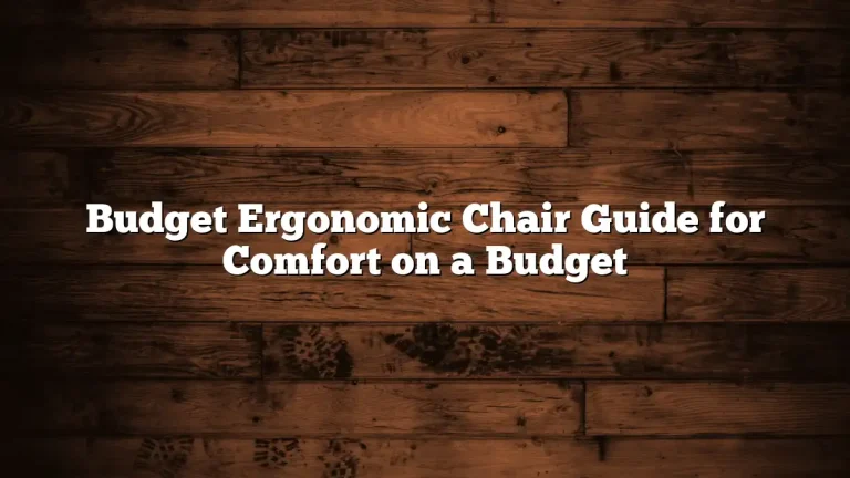 Budget Ergonomic Chair Guide for Comfort on a Budget