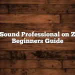 How to Sound Professional on Zoom for Beginners Guide