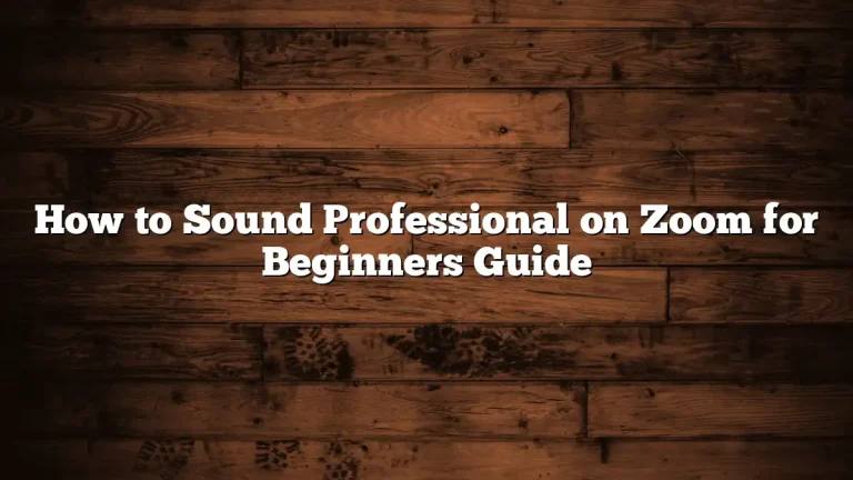 How to Sound Professional on Zoom for Beginners Guide