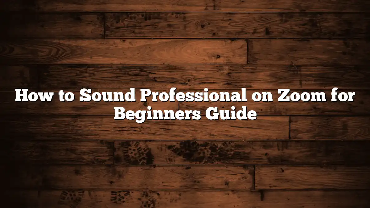 How to Sound Professional on Zoom for Beginners Guide